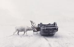 martin stranka.JPG