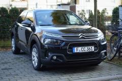 C4 Cactus (2 von 3)